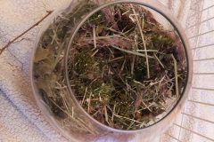 Bol de fouille garni de foin, de feuilles et de brindilles