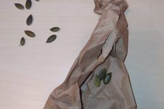 Ajout de quelques friandises, ici des graines de courge