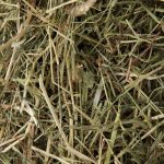 Vue rapprochée de brins de foin verts et bruns.
