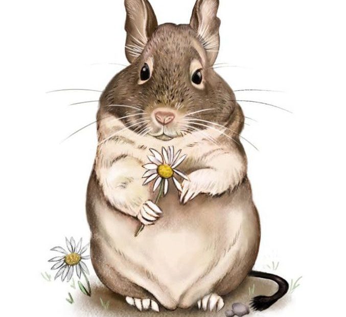 Illustration d’un octodon tenant une fleur blanche entre ses pattes, par Claire D.