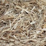 Vue rapprochée de petits fragments de litière de lin.