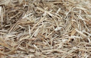 Vue rapprochée de petits fragments de litière de lin.