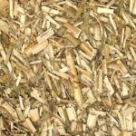 Vue rapprochée de fragments allongés de litière de miscanthus.