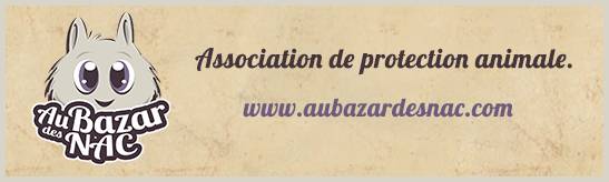 Au Bazar des NAC 1 Bannière « Au Bazar des NAC – Association de protection animale », avec son logo et son adresse web.