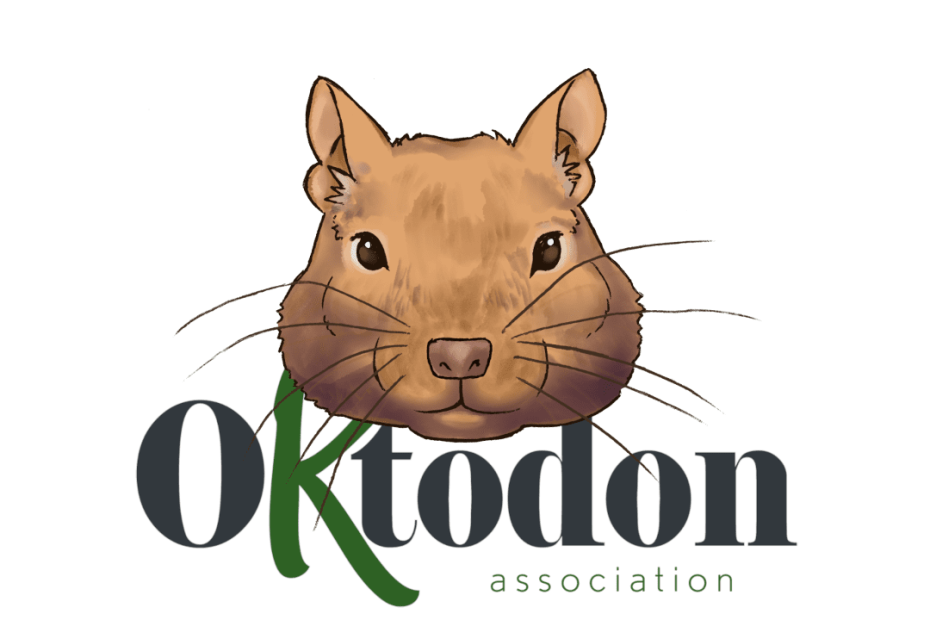 Logo horizontal de l’association Oktodon avec une tête d’octodon sur un fond vert.