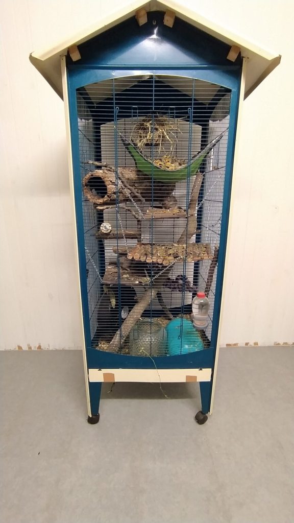 Cage haute bleue équipée de plateformes, de roues et de couchages.