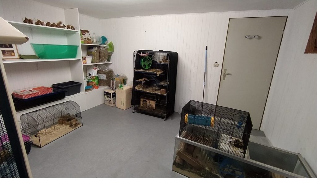 Plusieurs cages, terrariums et rangements installés dans une même pièce.