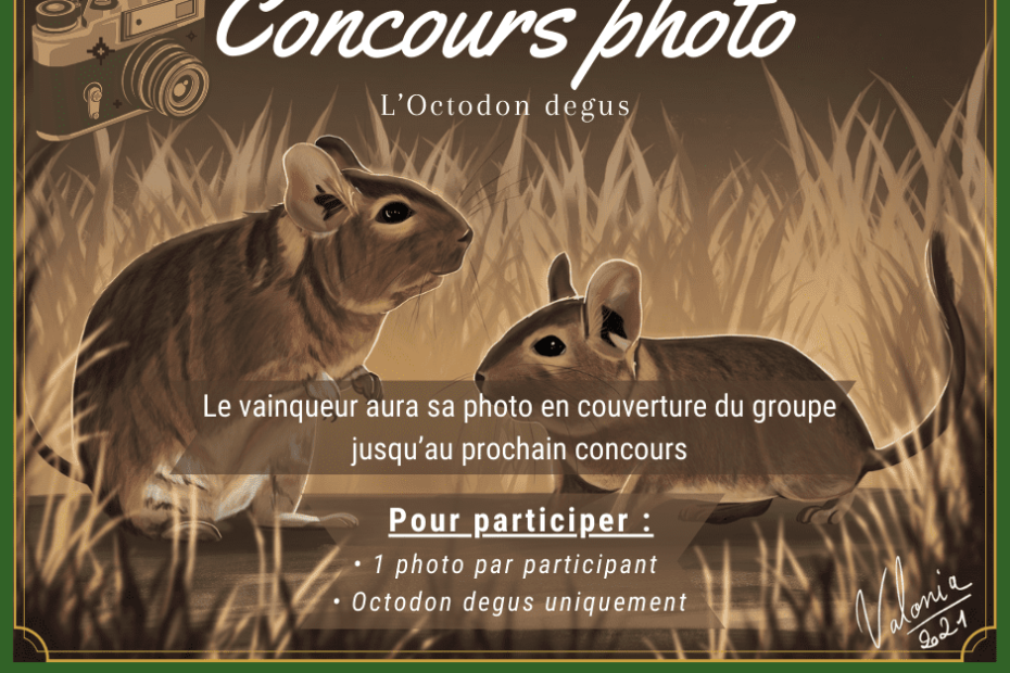 Affiche du concours photo « L’Octodon degus », illustrée de deux octodons.