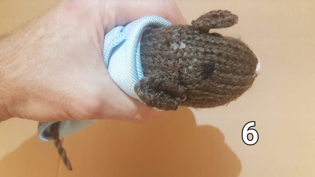 Alimentation médicalisée et de convalescence : le gavage alimentaire chez l’octodon 6 Octodon enveloppé dans un tissu et maintenu dans une main selon la méthode du burrito.