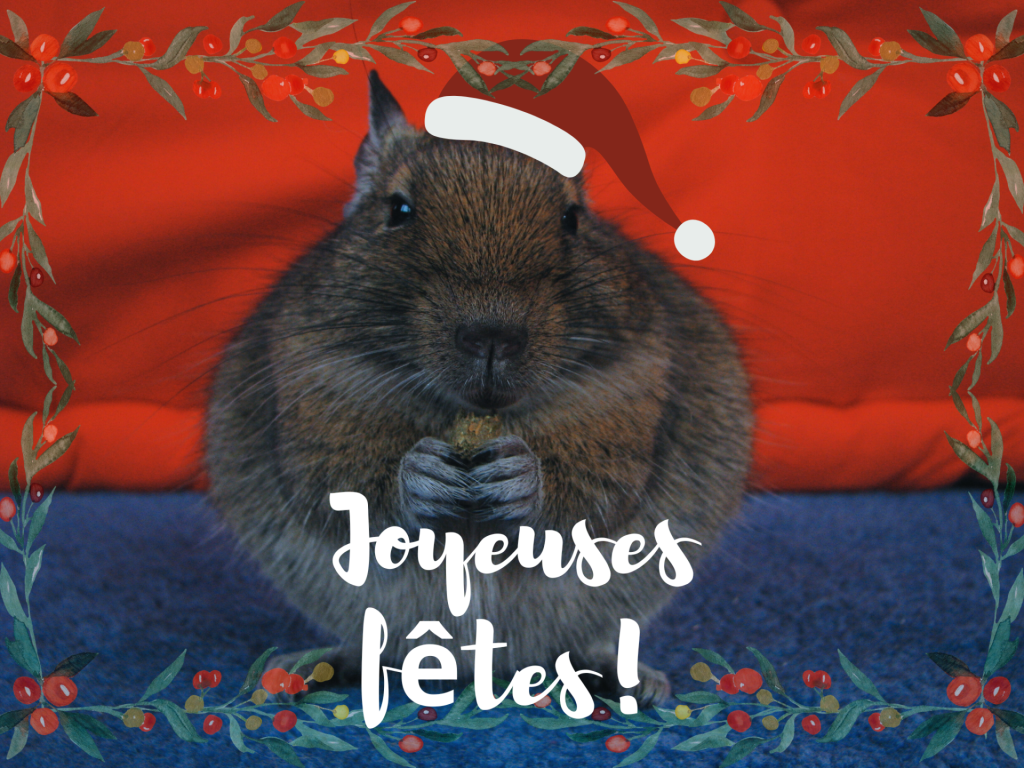 Carte portant le texte « Joyeuses fêtes », avec un octodon coiffé d’un bonnet de Noël rouge.