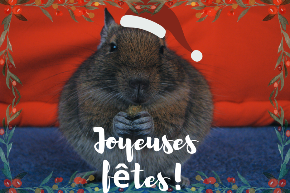 Carte portant le texte « Joyeuses fêtes », avec un octodon coiffé d’un bonnet de Noël rouge.