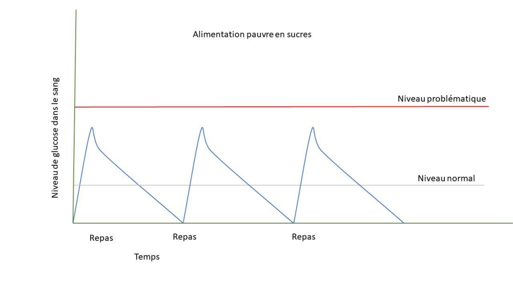 Quel est l'impact d'une alimentation riche en glucides chez l'octodon ? 2 Schéma présentant trois pics de glycémie modérés, sous une ligne de seuil rouge.