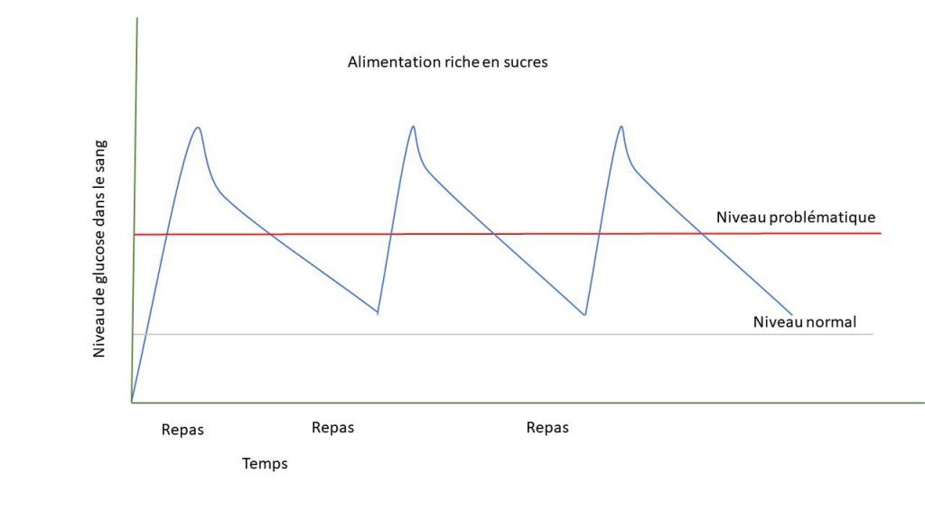 Quel est l'impact d'une alimentation riche en glucides chez l'octodon ? 3 Schéma présentant des pics répétés de glycémie dépassant une ligne de seuil rouge.