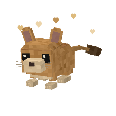 À propos 1 Tipi, octodon sable représenté en pixel art avec des cœurs.