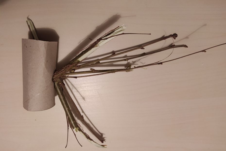 Rouleau de carton garni de tiges pour un enrichissement alimentaire d’octodon.